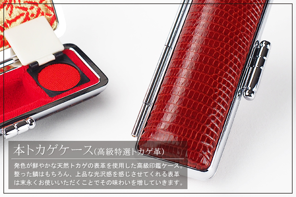 �{�g�J�Q�P�[�X�i����{�g�J�Q�v�j