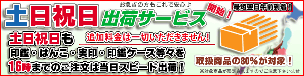 �y���j���o�׃T�[�r�X