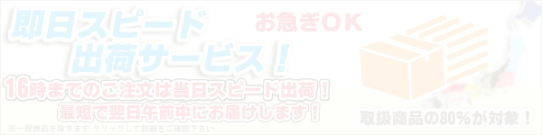 �����X�s�[�h�o�׃T�[�r�X