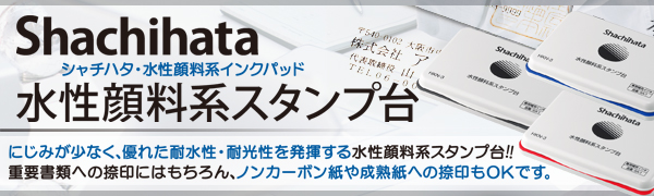 �V���`�n�^�����痿�n�X�^���v��