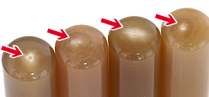 �l�l�p����Ӂy�I�����_���������z