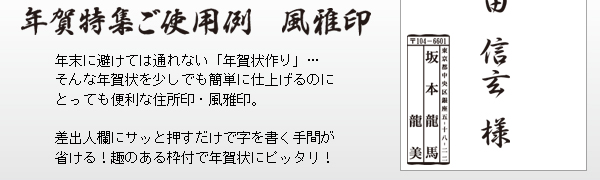 �N����W���g�p��E�����