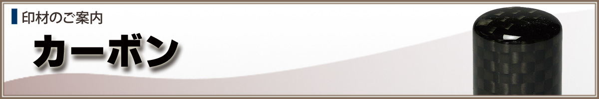 �l�l�p����Ӂy�J�[�{���z