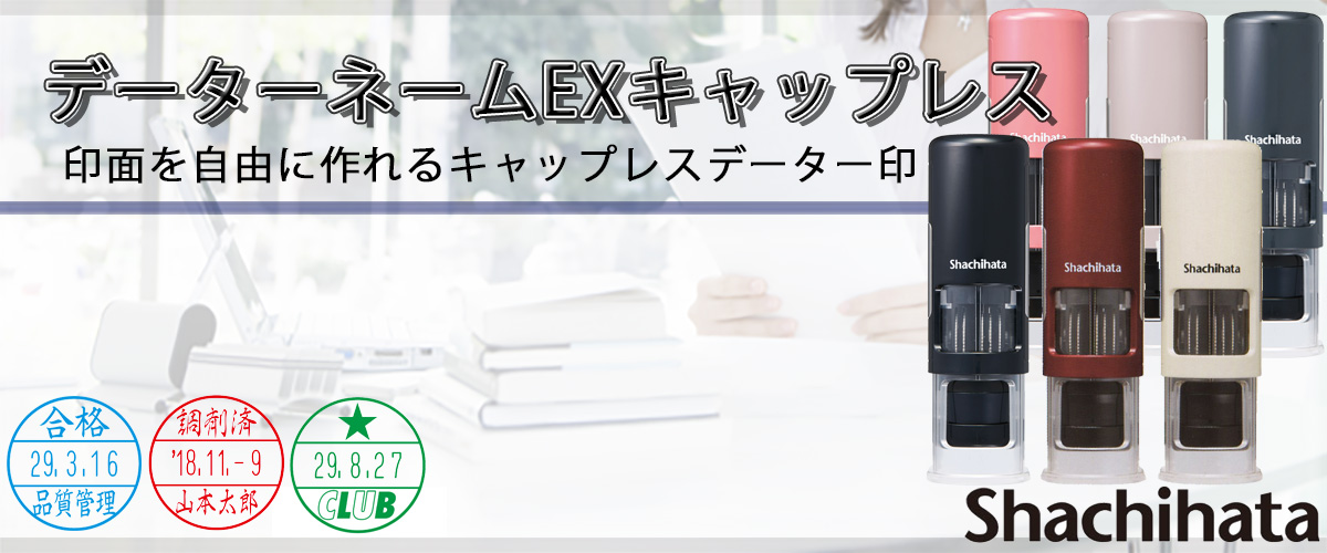 �V���`�n�^�E�f�[�^�[�l�[��EX �L���b�v���X�i���t��j