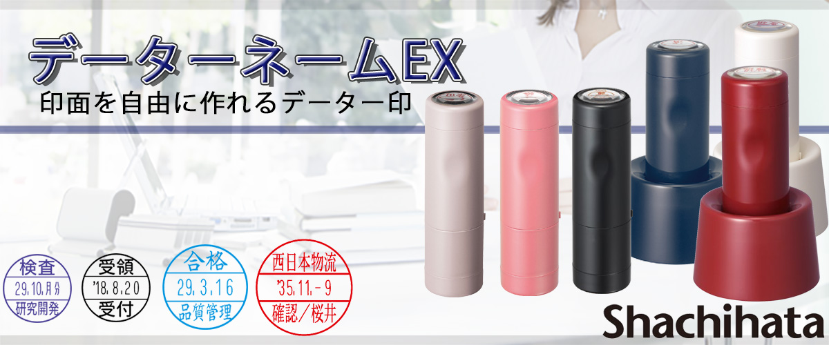 �V���`�n�^�E�f�[�^�[�l�[��EX�i���t��j