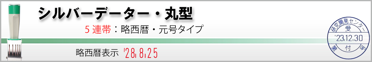 �V���o�[�f�[�^�[��[5�A�с^�N��������]�@�����E������^�C�v�i���t��/��̈�[�ی^]�j