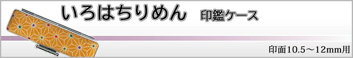 ����͂���߂�P�[�X12