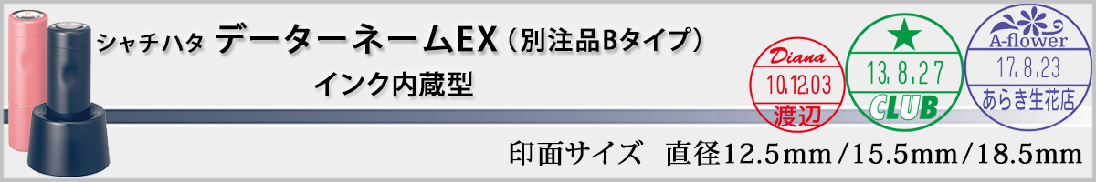 �V���`�n�^�EX�X�^���p�[�E�f�[�^�[�l�[��EX�i�ʒ��iB�^�C�v�j[Shachihata]