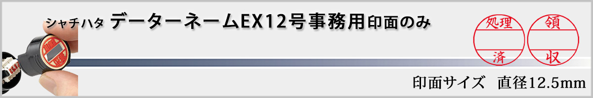 �V���`�n�^�EX�X�^���p�[�E�f�[�^�[�l�[��EX12��(�L���p�E�����p) �i��ʂ̂݁j[Shachihata]