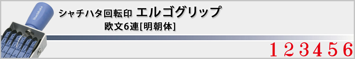 �G���S�O���b�v �E ����6�A�@������