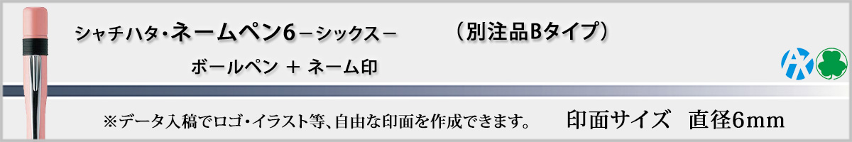 �V���`�n�^�EX�X�^���p�[�E�l�[���y��6[NAMEPEN6]�E�ʒ��iB�^�C�v�i��ʃT�C�Y�E6mm�j