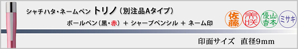 �V���`�n�^�E�l�[���y���E�g���m�E�ʒ��iA�^�C�v