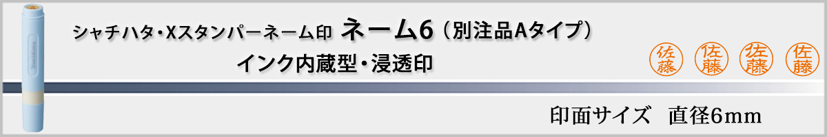 �V���`�n�^�EX�X�^���p�[�E�l�[��6�@�ʒ��iA�^�C�v