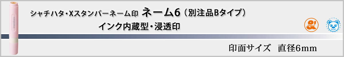 �V���`�n�^�EX�X�^���p�[�E�l�[��6�@�ʒ��iB�^�C�v