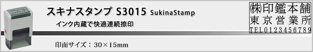 �X�L�i�X�^���vS3015 ���^30x15mm