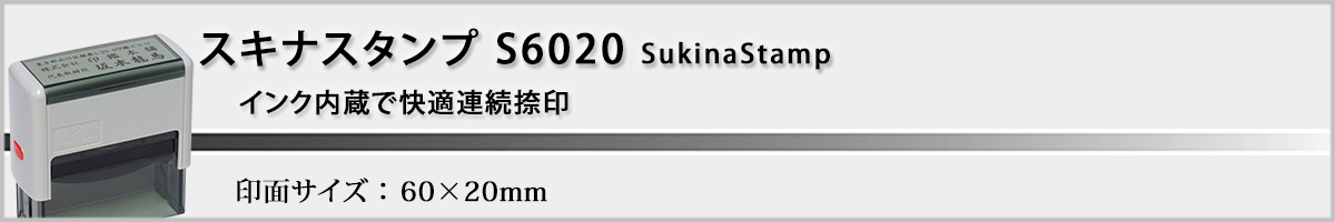 �X�L�i�X�^���vS6020 ���^60x20mm