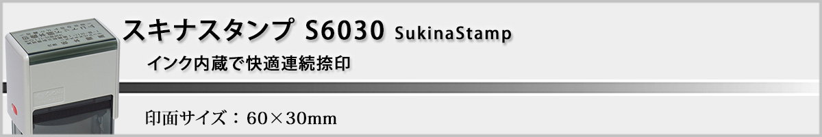 �X�L�i�X�^���vS6030 ���^60x30mm